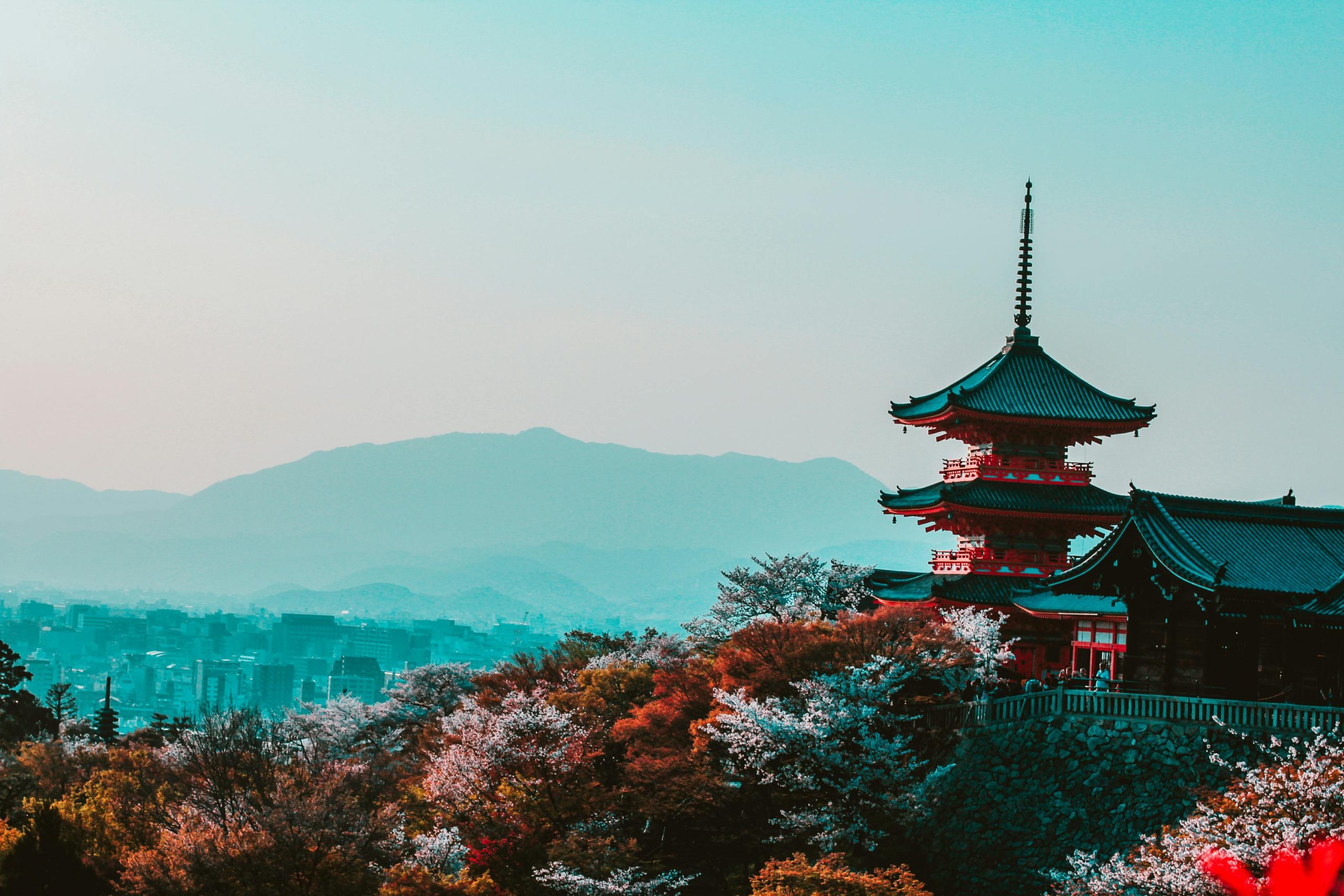 15 Cheap and Clever Ways to Enjoy Japan (Tokyo, Kyoto & Osaka on a Budget)